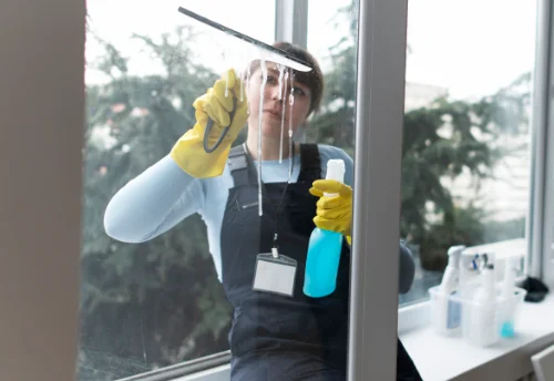 Nettoyage de vitres intérieures et extérieures à Dachstein